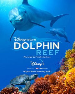 Dolphin Reef (2020) Disney+ อัศจรรย์ชีวิตของโลมา