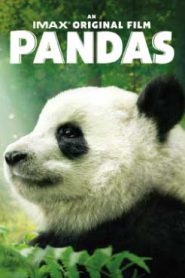 Pandas (2018) สารคดีแพนด้า