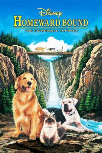 Homeward Bound The Incredible Journey (1993) สองหมาหนึ่งแมว ใครจะพรากเราไม่ได้