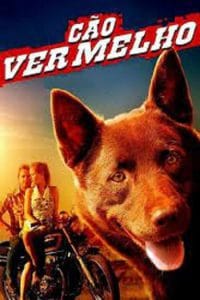 Red Dog (2011) เพื่อนซี้ หัวใจหยุดโลก