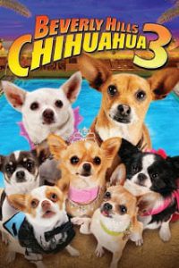 Beverly Hills Chihuahua 3 Viva La Fiesta! (2012) คุณหมาไฮโซ โกบ้านนอก 3