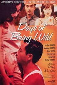 Days of Being Wild (1990) วันที่หัวใจรักกล้าตัดขอบฟ้า