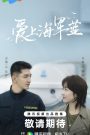 ซีรี่ย์จีน Rose and Gun (2025) สะดุดรักนายนาวี ซับไทย
